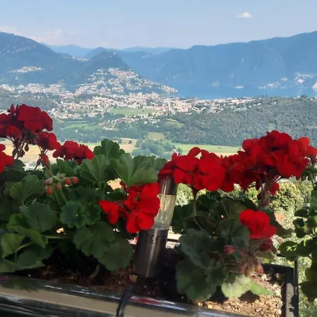 Apartamento Entire With Stunning View *